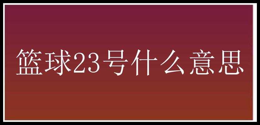 篮球23号什么意思