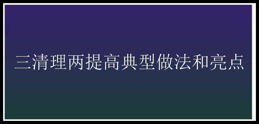 三清理两提高典型做法和亮点