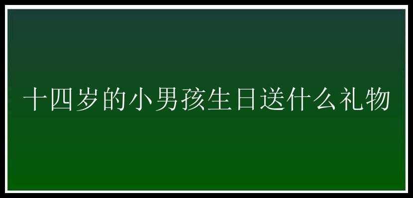 十四岁的小男孩生日送什么礼物