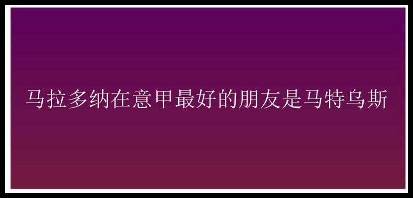 马拉多纳在意甲最好的朋友是马特乌斯