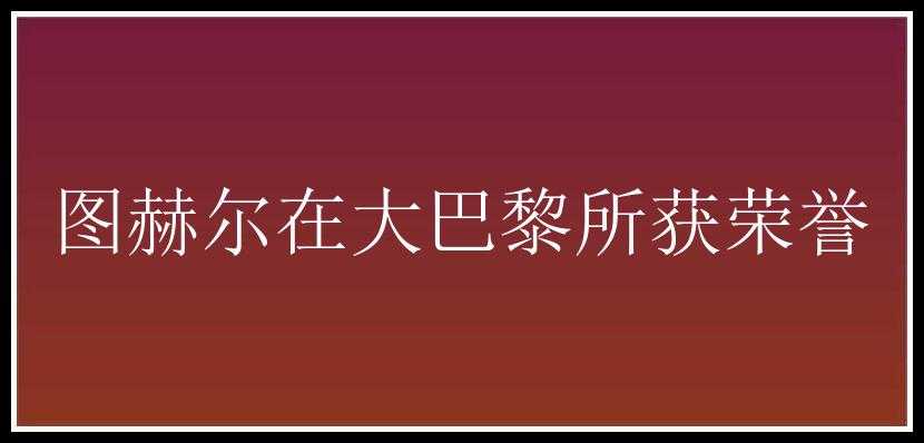 图赫尔在大巴黎所获荣誉