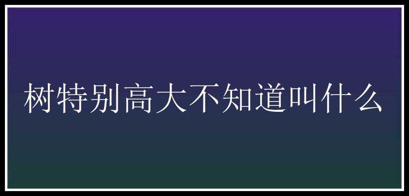 树特别高大不知道叫什么