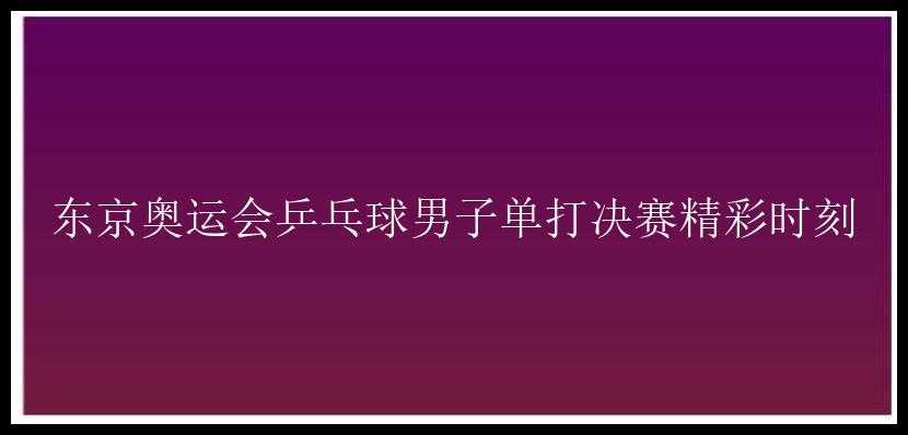 东京奥运会乒乓球男子单打决赛精彩时刻