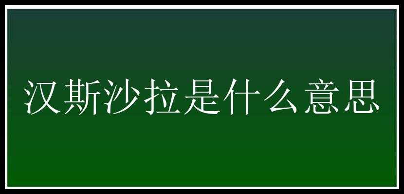 汉斯沙拉是什么意思