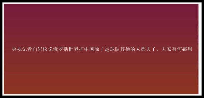 央视记者白岩松说俄罗斯世界杯中国除了足球队其他的人都去了，大家有何感想