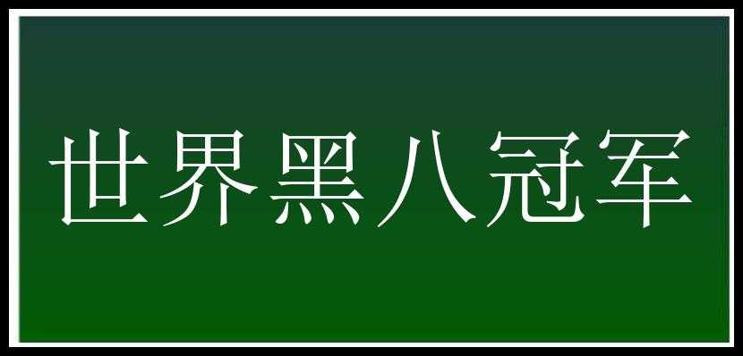 世界黑八冠军