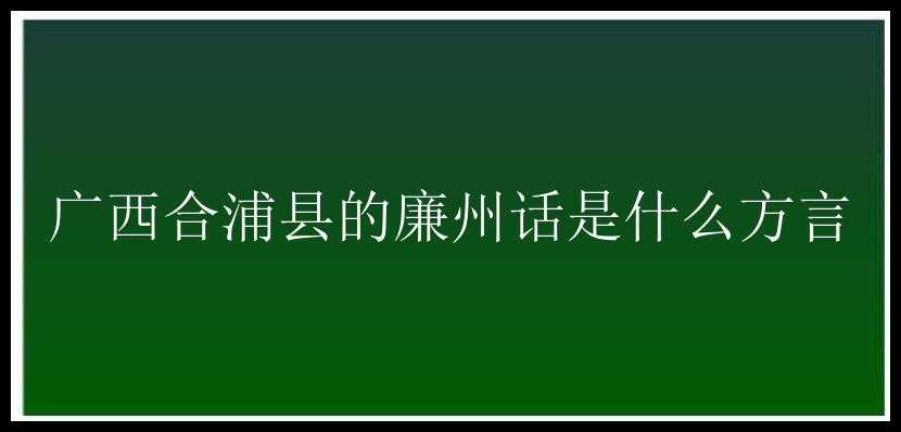 广西合浦县的廉州话是什么方言