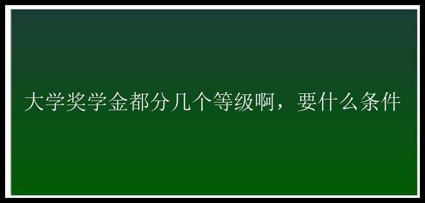 大学奖学金都分几个等级啊，要什么条件