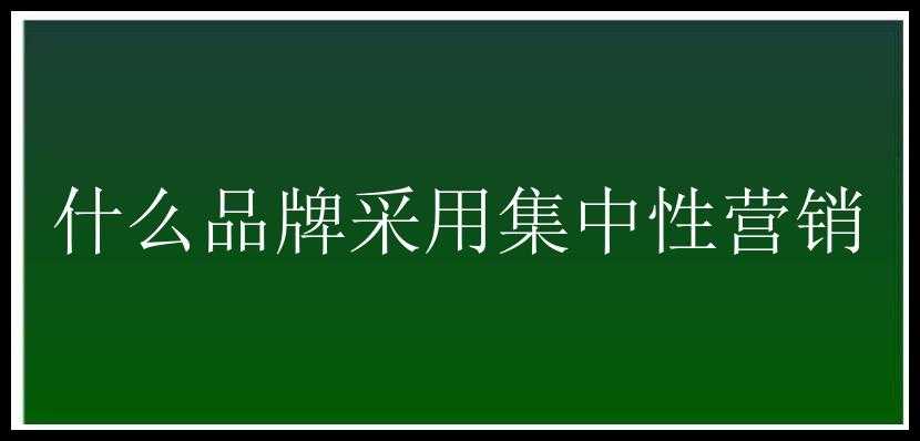 什么品牌采用集中性营销