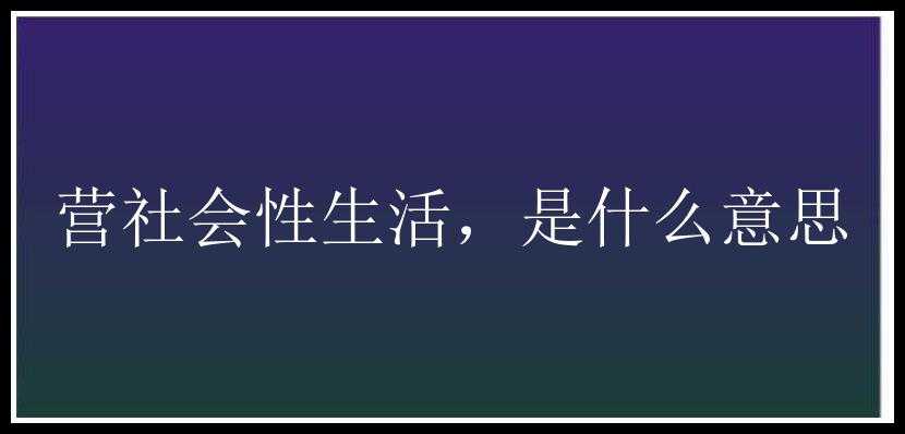 营社会性生活，是什么意思