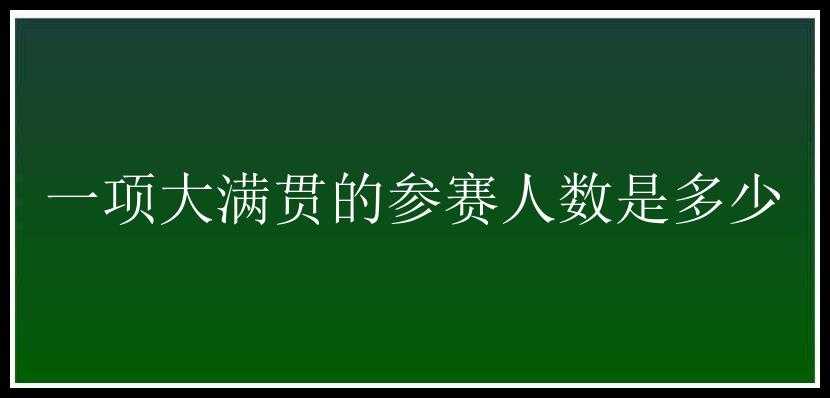 一项大满贯的参赛人数是多少