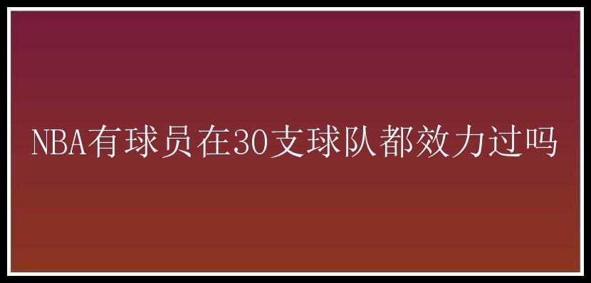 NBA有球员在30支球队都效力过吗