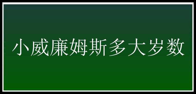 小威廉姆斯多大岁数