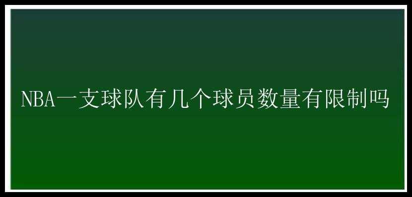 NBA一支球队有几个球员数量有限制吗