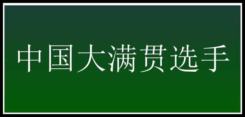 中国大满贯选手