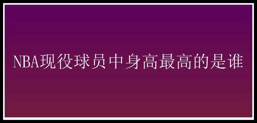 NBA现役球员中身高最高的是谁