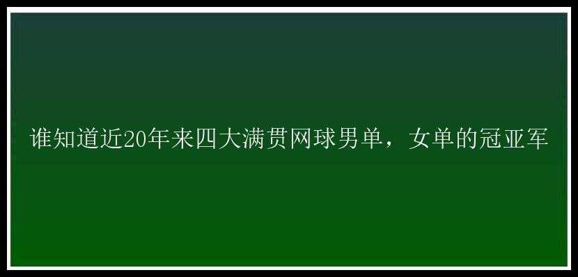 谁知道近20年来四大满贯网球男单，女单的冠亚军