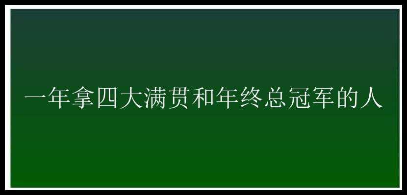 一年拿四大满贯和年终总冠军的人