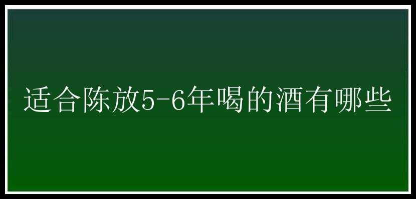 适合陈放5-6年喝的酒有哪些