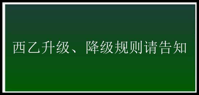 西乙升级、降级规则请告知