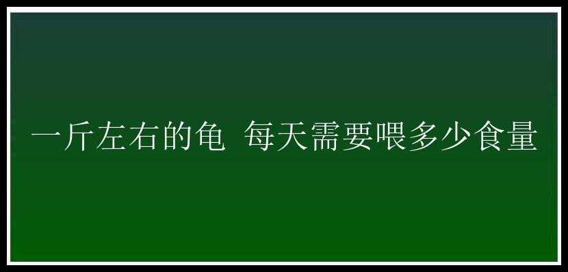 一斤左右的龟 每天需要喂多少食量