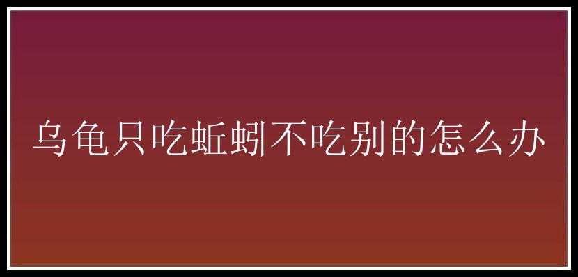 乌龟只吃蚯蚓不吃别的怎么办