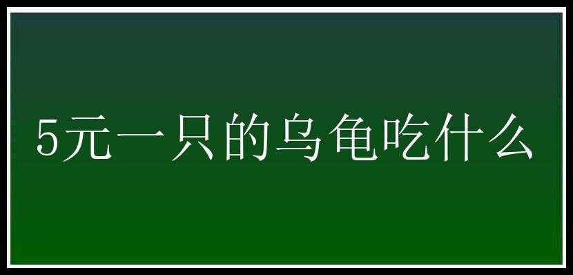 5元一只的乌龟吃什么