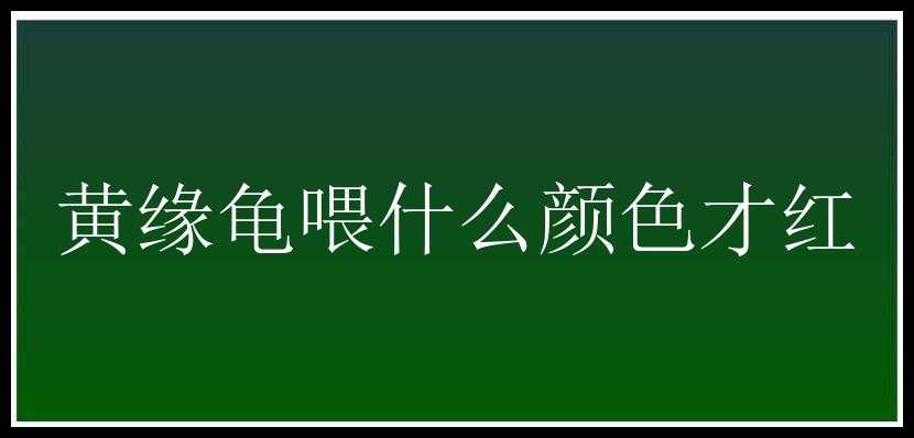 黄缘龟喂什么颜色才红