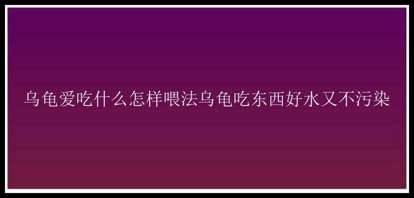 乌龟爱吃什么怎样喂法乌龟吃东西好水又不污染