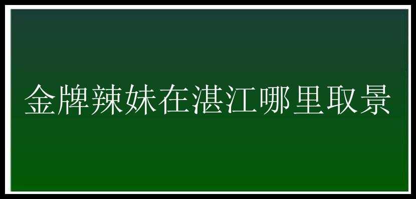 金牌辣妹在湛江哪里取景