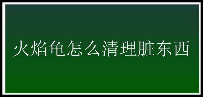 火焰龟怎么清理脏东西