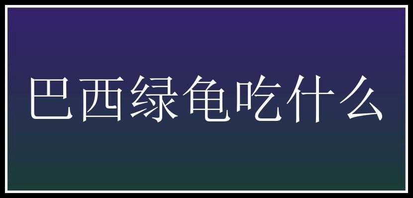 巴西绿龟吃什么