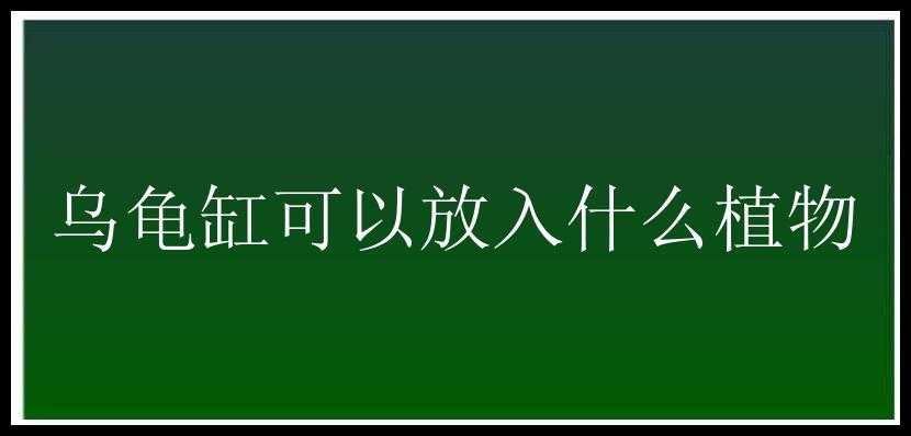 乌龟缸可以放入什么植物