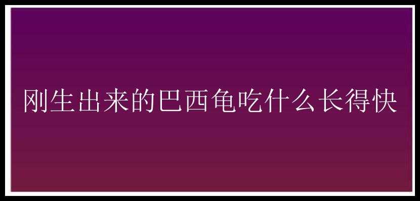 刚生出来的巴西龟吃什么长得快