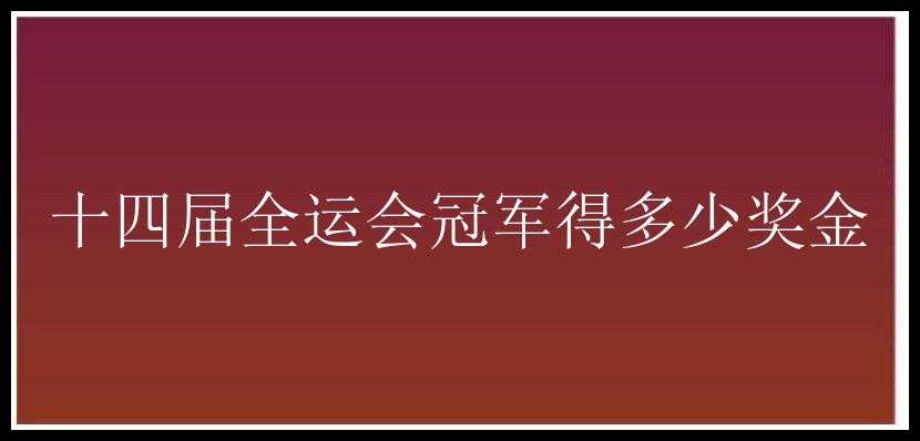 十四届全运会冠军得多少奖金