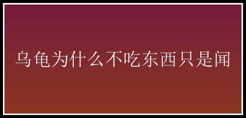 乌龟为什么不吃东西只是闻