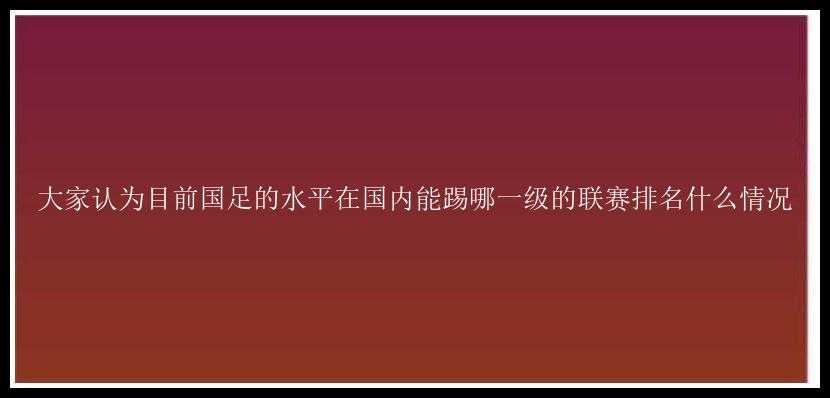 大家认为目前国足的水平在国内能踢哪一级的联赛排名什么情况