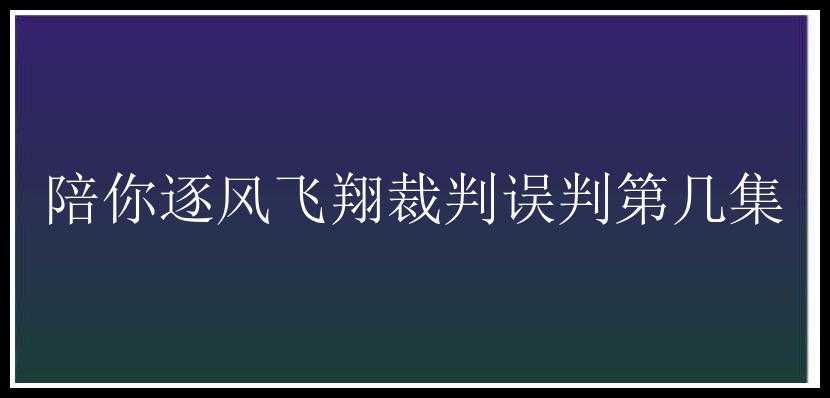 陪你逐风飞翔裁判误判第几集