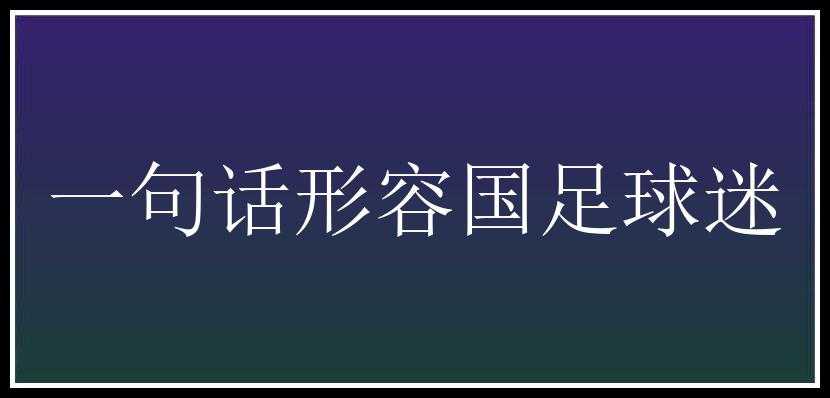 一句话形容国足球迷