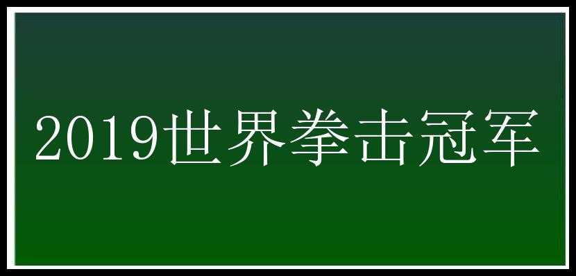 2019世界拳击冠军