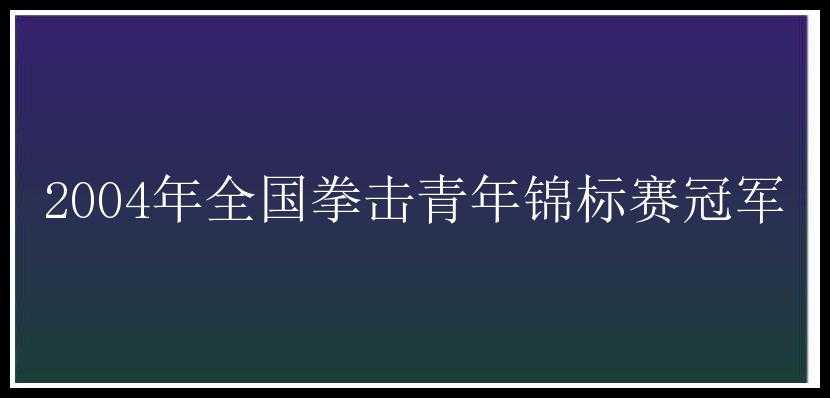 2004年全国拳击青年锦标赛冠军