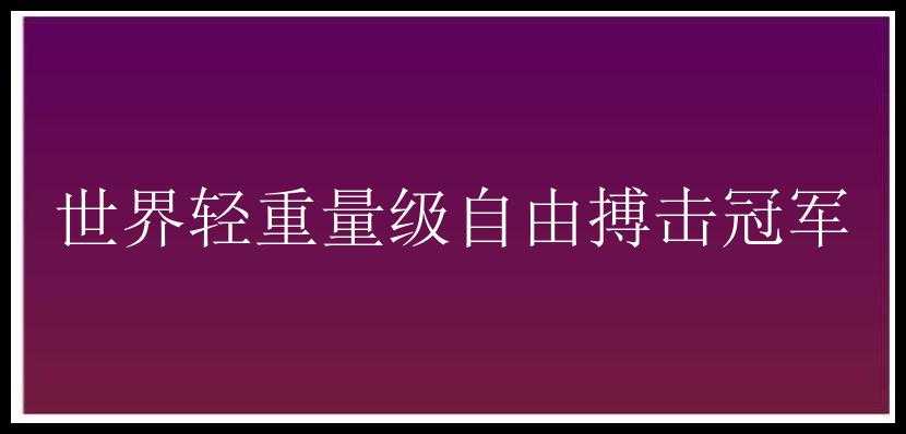 世界轻重量级自由搏击冠军