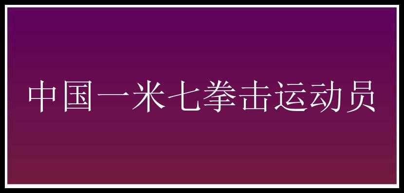 中国一米七拳击运动员