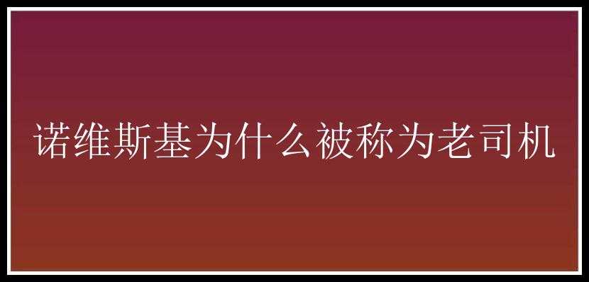 诺维斯基为什么被称为老司机