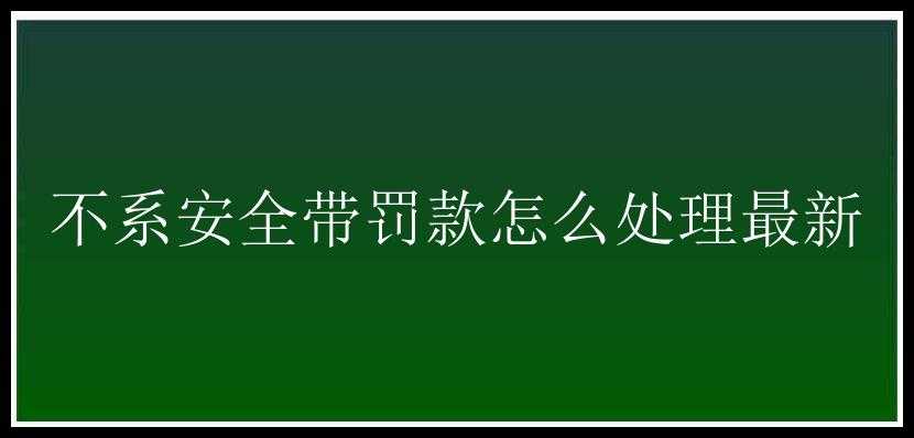 不系安全带罚款怎么处理最新