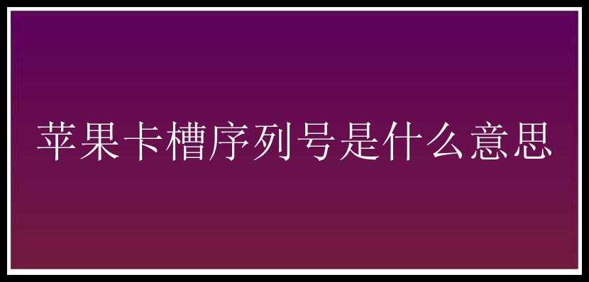 苹果卡槽序列号是什么意思