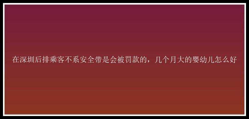 在深圳后排乘客不系安全带是会被罚款的，几个月大的婴幼儿怎么好